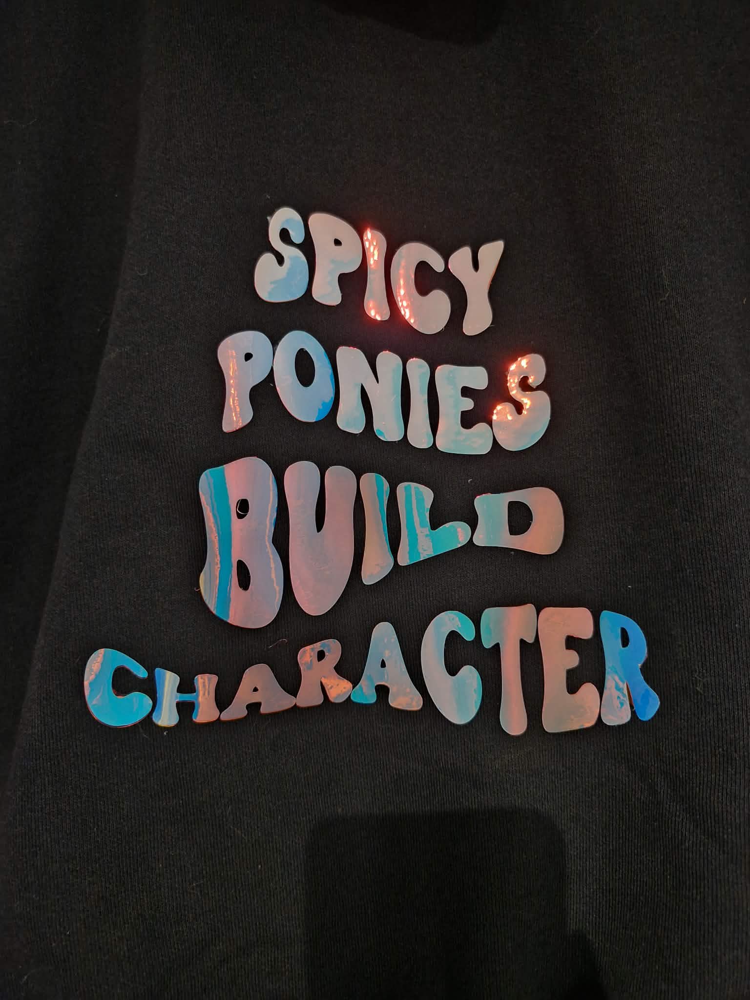 Holographic Spicy Ponies Build Character - Classic Hooded Sweatshirt