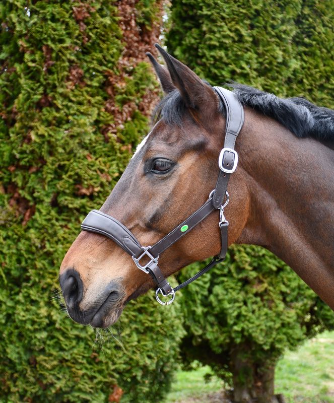 Rhinegold Softee Pro-Anatomical Leather Headcollar