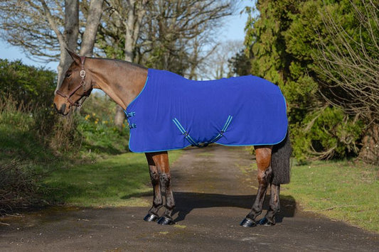 Rhinegold fleece backed towelling rug in Deep Blue with emerald binding, before customisation